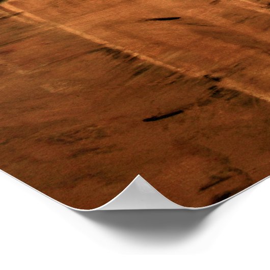 Acacia Tree 16 x 20 door Ben Walker Poster (Hoek)