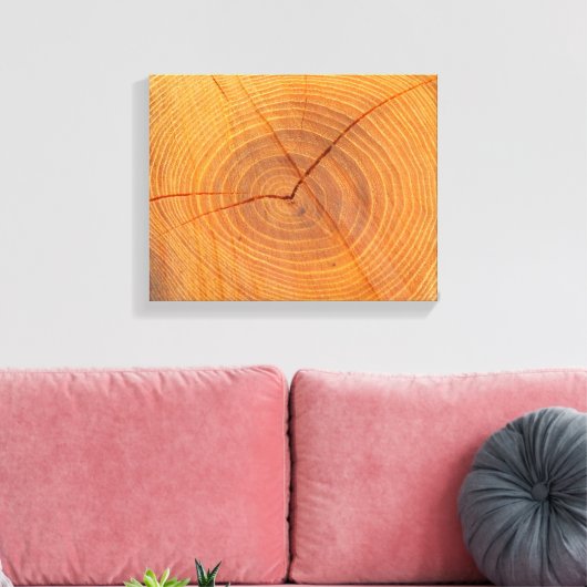 Acacia Tree Cross Section Canvas afdrukken (Insitu (Woonkamer))