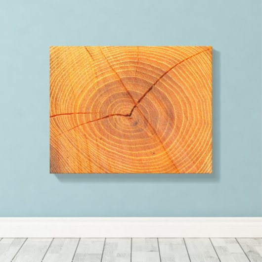 Acacia Tree Cross Section Canvas afdrukken (Insitu (Houten vloer))