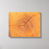 Acacia Tree Cross Section Canvas afdrukken (Voorkant)