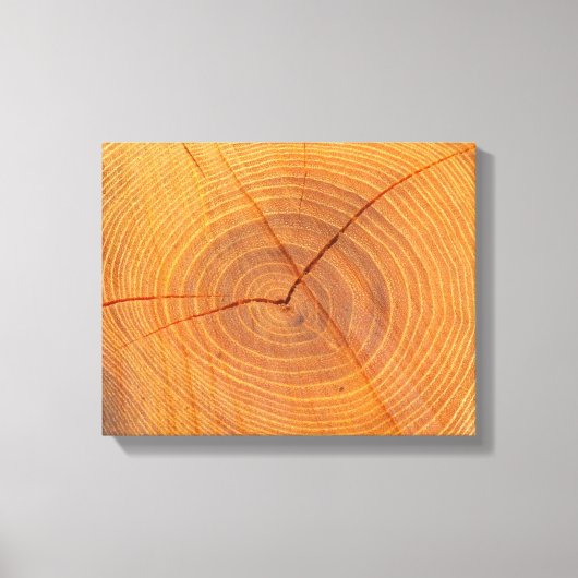 Acacia Tree Cross Section Canvas afdrukken (Voorkant)