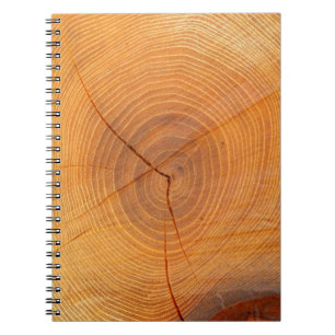 Acacia Tree Cross Section Foto Notitieboek