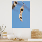 Acacia-zaden Poster (Keuken)