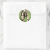 Acacia-zaden Ronde Sticker (Tas)