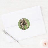 Acacia-zaden Ronde Sticker (Envelop)