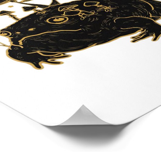 Academia Moon Witchy Goblincore Aesthetic Frog Cla Poster (Hoek)