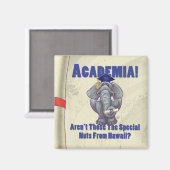 Academia Scroll Magneet (Voorkant / Achterkant)