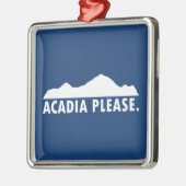 Acadia Alsjeblieft Metalen Ornament (Links)