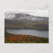 Acadia Herfst Trees Briefkaart (Voorkant)