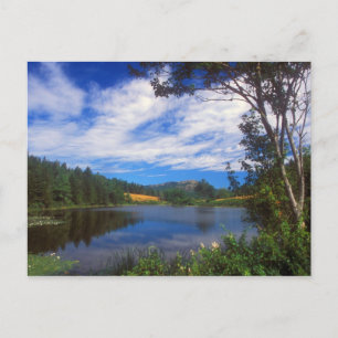 Acadia Long Pond Uitzicht Briefkaart