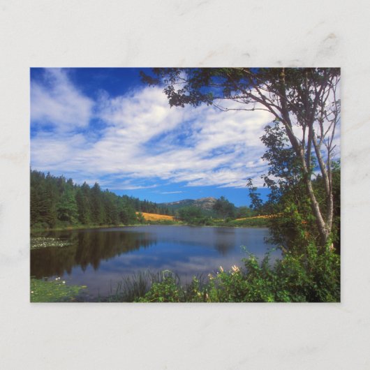 Acadia Long Pond Uitzicht Briefkaart (Voorkant)