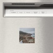 Acadia magneet - 1 (Insitu (Vaatwasser))