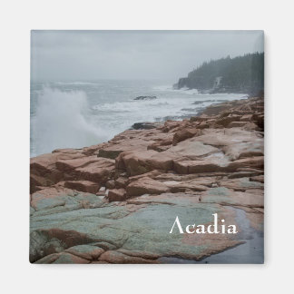 Acadia magneet - 2
