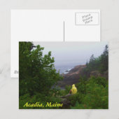 Acadia, Maine Briefkaart (Voorkant / Achterkant)
