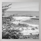 Acadia Maine Coastline Black and White Archival Poster (Voorkant)