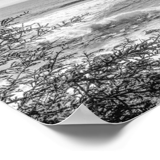 Acadia Maine Coastline Black and White Archival Poster (Hoek)