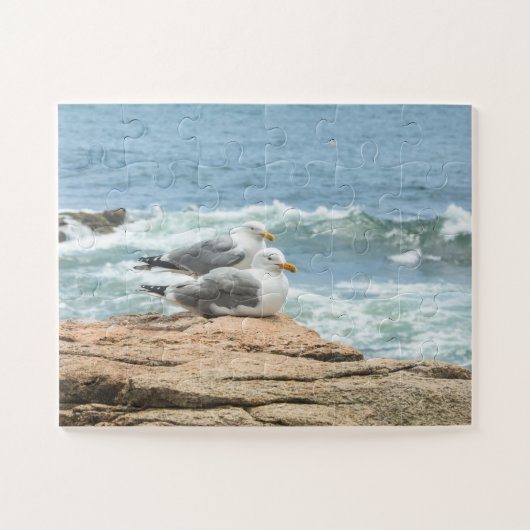 Acadia Maine Ocean Seagulls Overmaats Legpuzzel (Horizontaal)