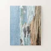 Acadia Maine Ocean Seagulls Overmaats Legpuzzel (Verticaal)