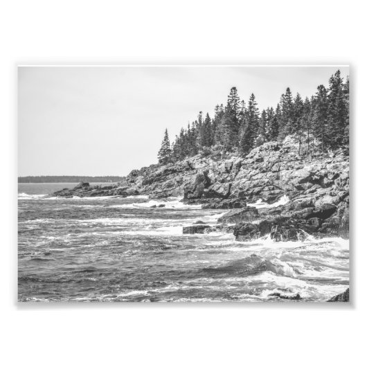 Acadia Maine Rocky Coastline Black en White Foto Afdruk (Voorkant)