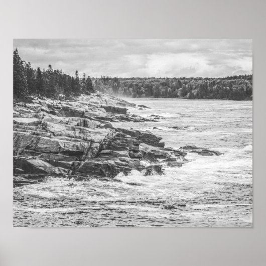 Acadia Maine Rocky Coastline Black en White Poster (Voorkant)