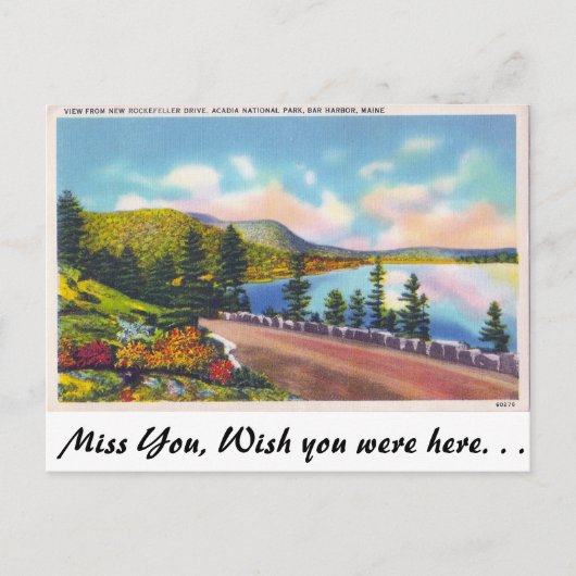 Acadia Nat. Park, Bar Harbour, Maine Briefkaart (Voorkant)