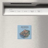 Acadia Nationaal Park Cadillac Mountain Magneet (Insitu (Vaatwasser))