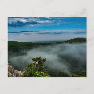 Acadia National Park in de zomer, Maine Briefkaart