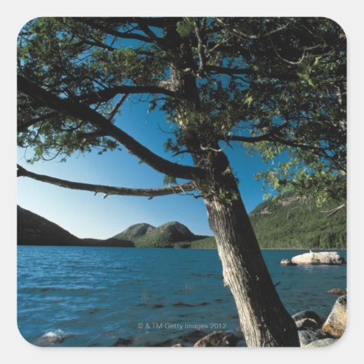 Acadia National Park, London Pond, Maine Vierkante Sticker (Voorkant)