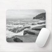 Acadia National Park Maine Coast Black and White Muismat (Met muis)