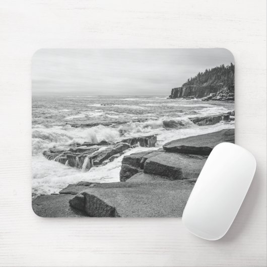 Acadia National Park Maine Coast Black and White Muismat (Met muis)