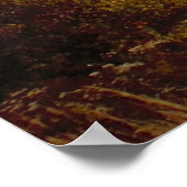 Acadia National Park Maine Foto Poster (Hoek)