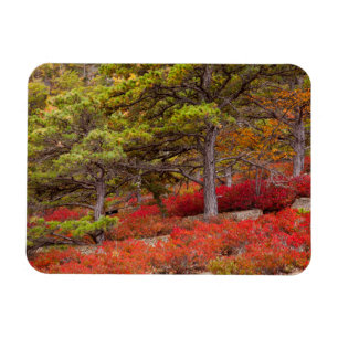 Acadia National Park, Maine Magneet
