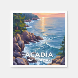 Acadia National Park Maine Schilderkunst Reis Ku Servet