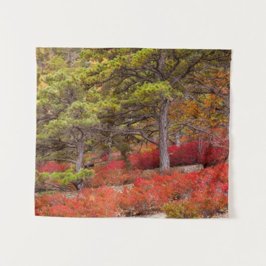 Acadia National Park, Maine Wandkleed (Voorkant (horizontaal))