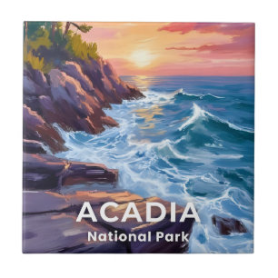 Acadia National Park Otter Cliffs Maine Reizen Tegeltje