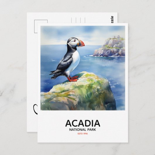 Acadia National Park - Perched Puffin Briefkaart (Voorkant / Achterkant)