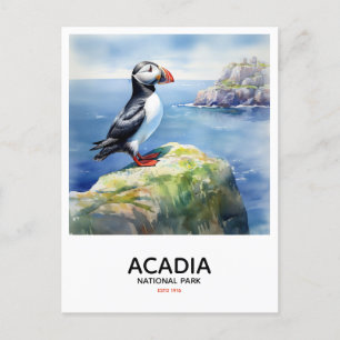 Acadia National Park - Perched Puffin Briefkaart