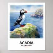 Acadia National Park - Perched Puffin Poster (Voorkant)