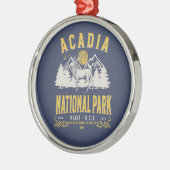 Acadia National Park Retro Scenery Metalen Ornament (Links)