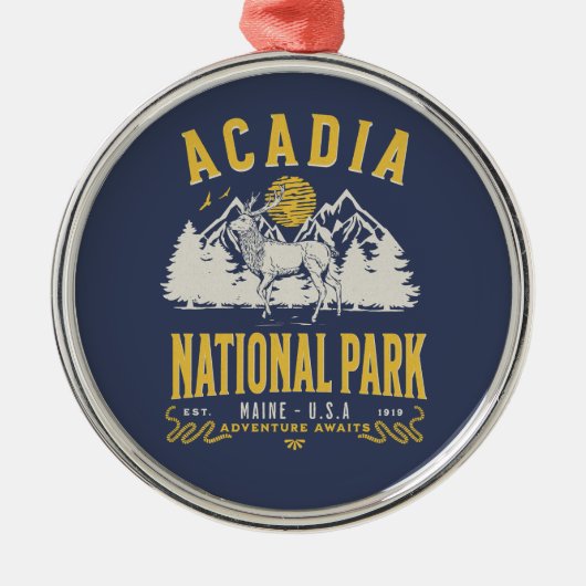 Acadia National Park Retro Scenery Metalen Ornament (Voorkant)