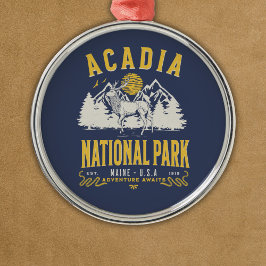 Acadia National Park Retro Scenery Metalen Ornament