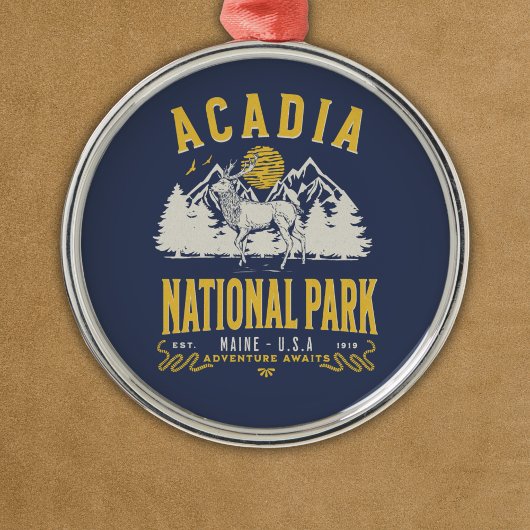 Acadia National Park Retro Scenery Metalen Ornament