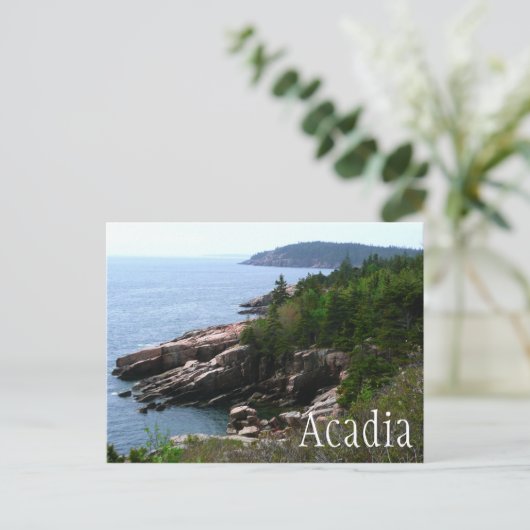 Acadia National Park Shoreline, Maine Briefkaart (Staand voorkant)