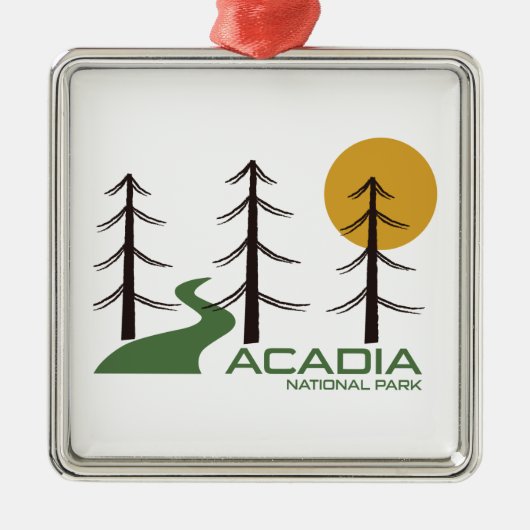 Acadia National Park Trail Metalen Ornament (Voorkant)