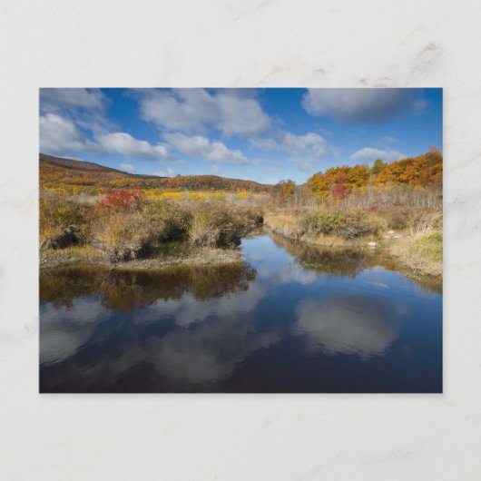 Acadia NP: herfstkleuren, reflecties Briefkaart (Voorkant)