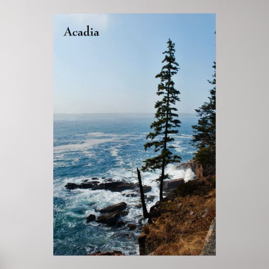 Acadia Poster - 1 (Voorkant)
