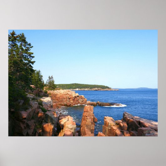 Acadia rotsachtig strand nabij Thunder Hole Poster (Voorkant)