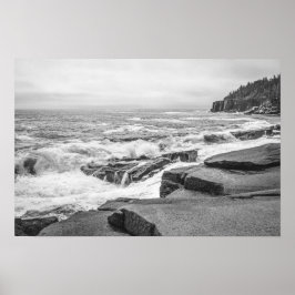 Acadia rotsachtige kustlijn in Maine zwart-wit Poster