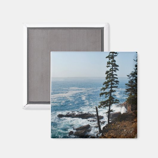 Acadia Shore Magnet - 1 (Voorkant / Achterkant)