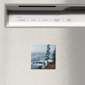 Acadia Shore Magnet - 1 (Insitu (Vaatwasser))